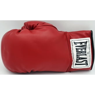 Everlast Stars & Stripes American Flag Spark 14 oz Training Boxing