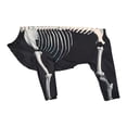 thumbnail image 1 of Disfraz de Perro Esqueleto de Halloween, Traje de Cosplay, Mono, Ropa, Disfraz de Mascota de Halloween, Ropa para Vacaciones, Concursos de Belleza, Fi SG, 1 of 10