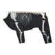 thumbnail image 1 of Disfraz de perro esqueleto de Halloween Yinane Disfraz de mascotas de Halloween 3XL, 1 of 8