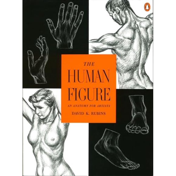 Pre-Owned: The Human Figure: An Anatomy for Artists (Paperback, 9780140042436, 0140042431)