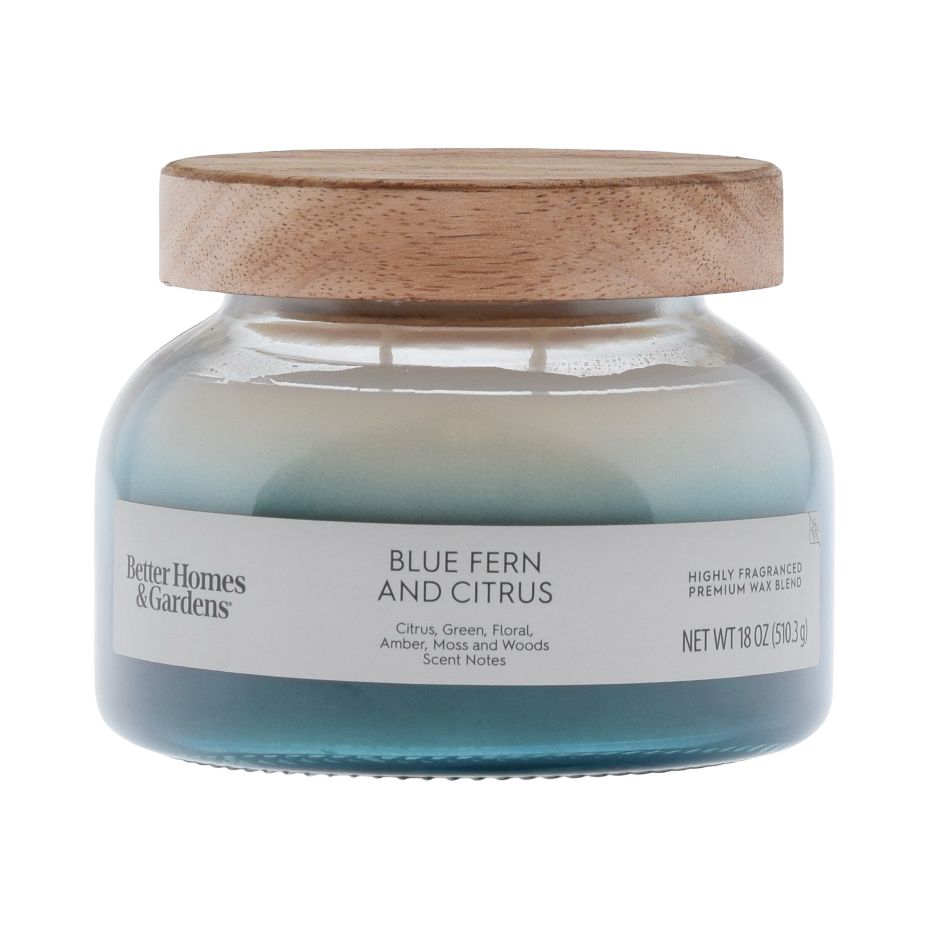Better Homes and Gardens Blue Fern and Citrus Scented 2-Wick Ombre Jar Candle 18oz.