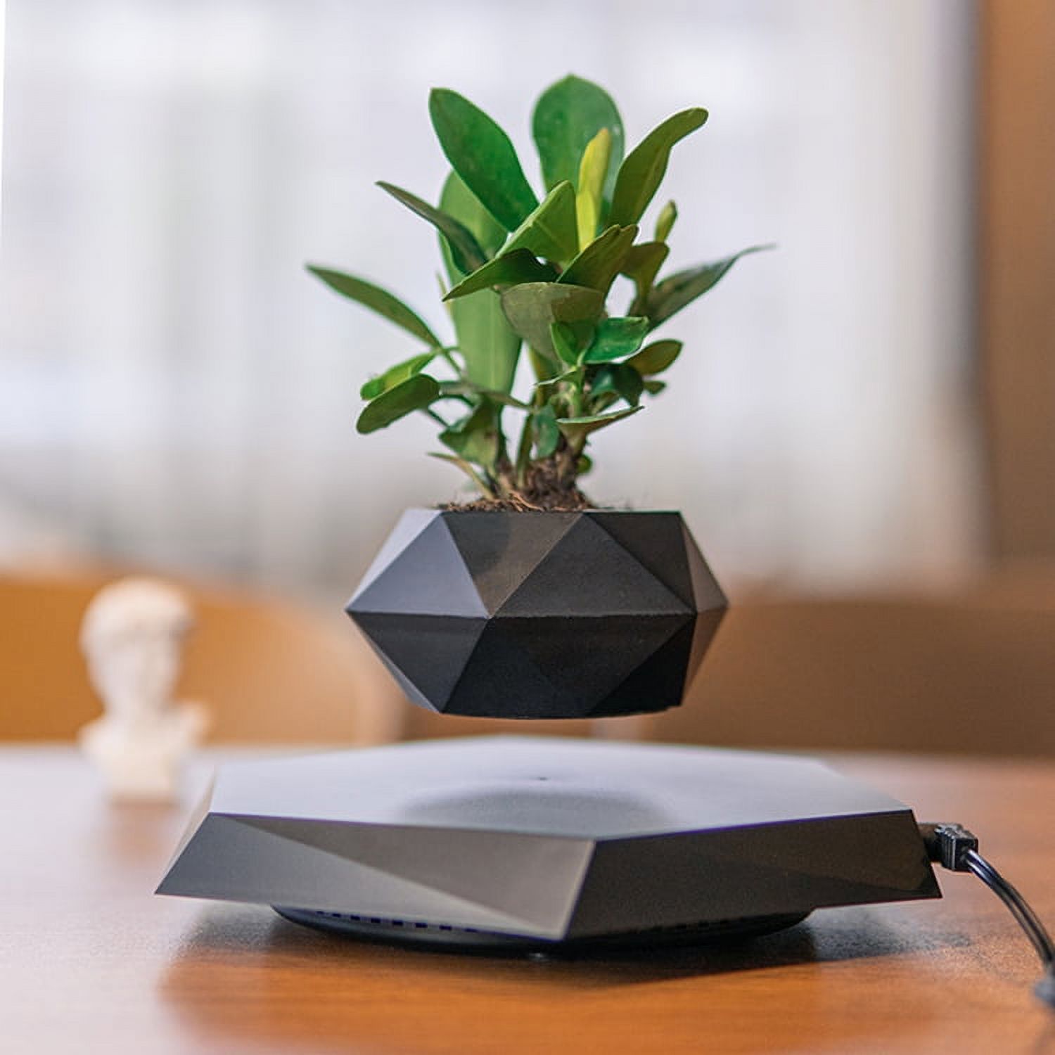 Dwellnix Smart Levitating Flower Plant Pot Home Decor Hovering Floating Magnic Plant Pot