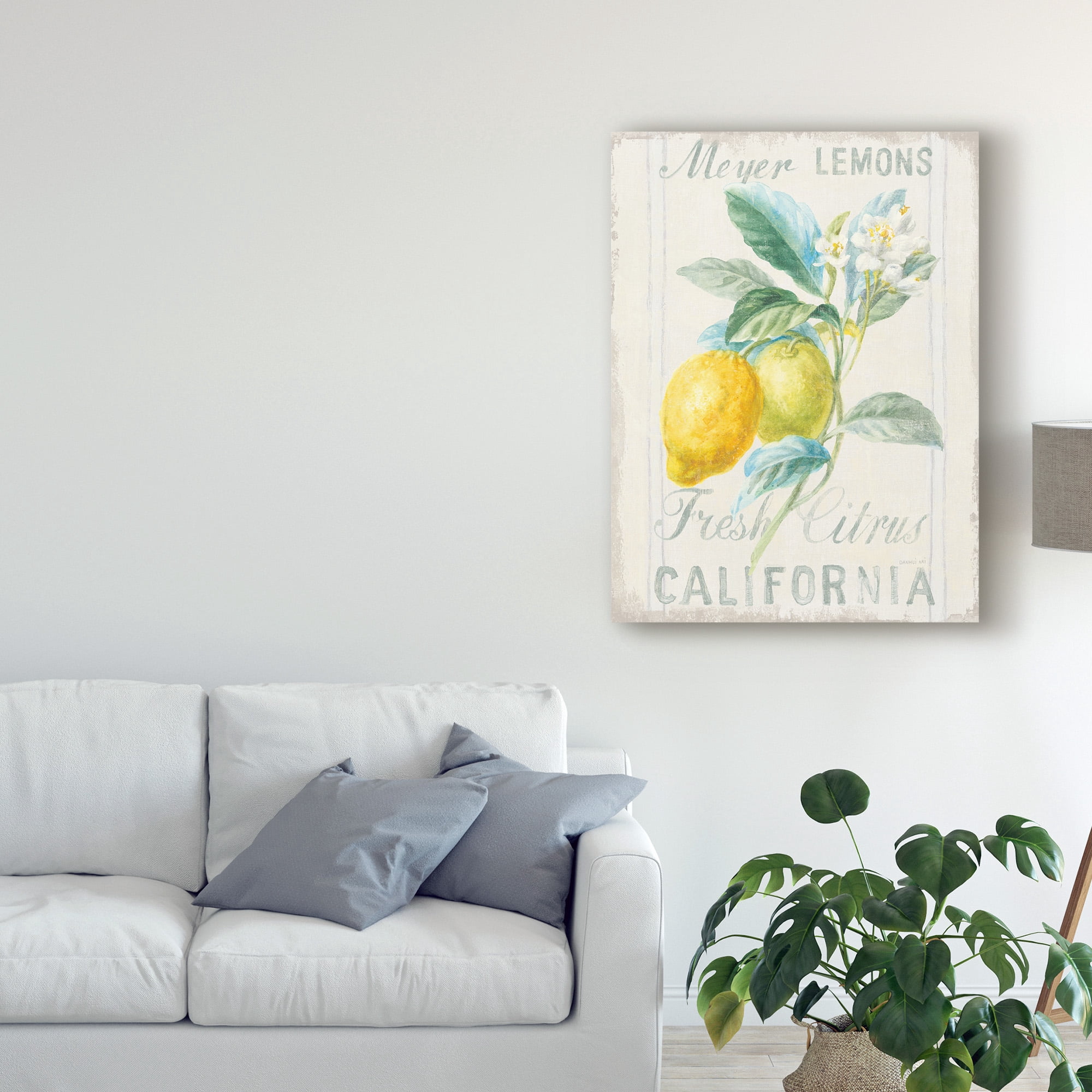 Trademark Fine Art 'Floursack Lemon II' Canvas Art by Danhui Nai