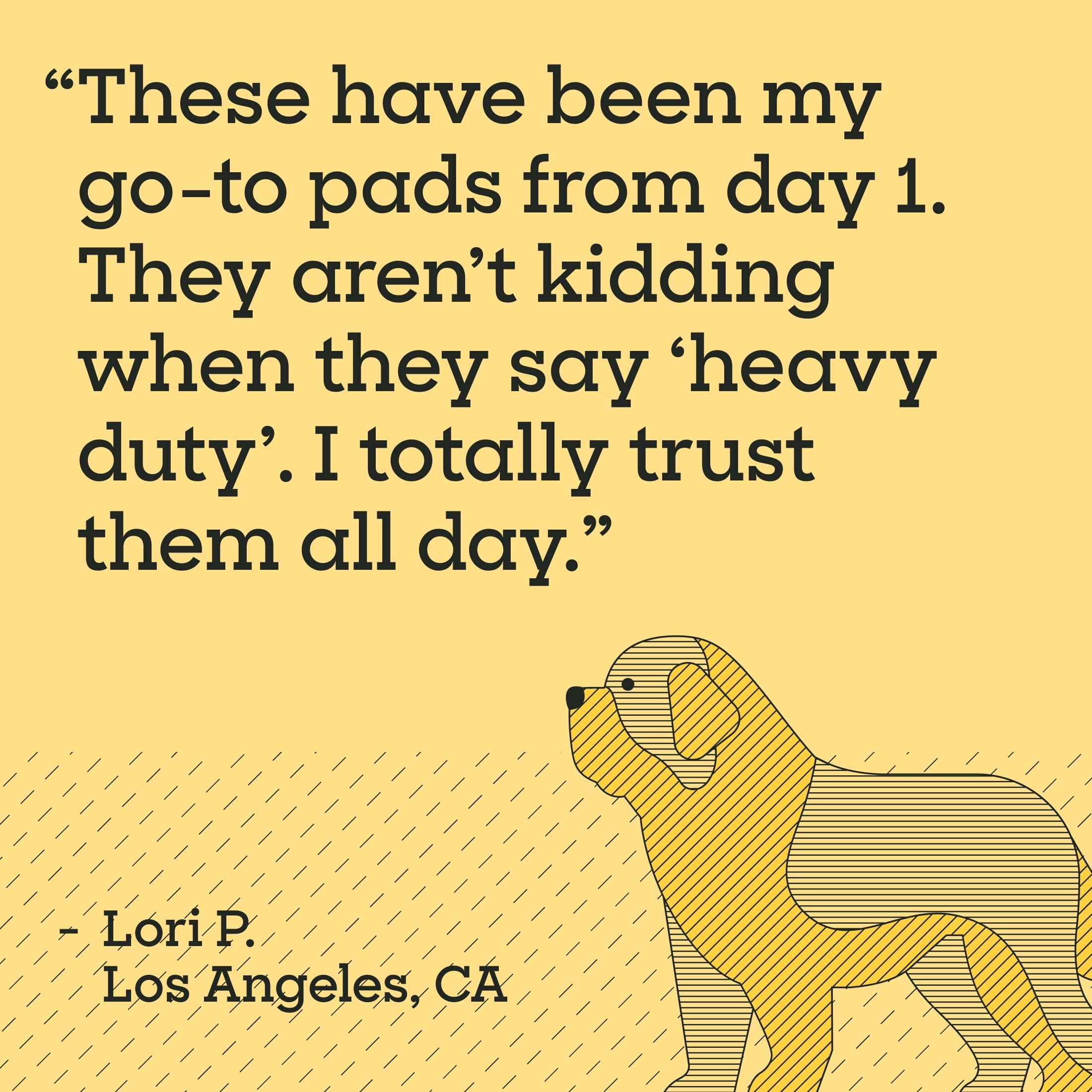 Pet Life Unlimited Heavy Duty Dog Pads, 3XL, 36" x 36", 12ct