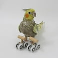 thumbnail image 6 of Small Parrots Trick Roller Skates Adjustable Pet Birds Playground Small, 6 of 9