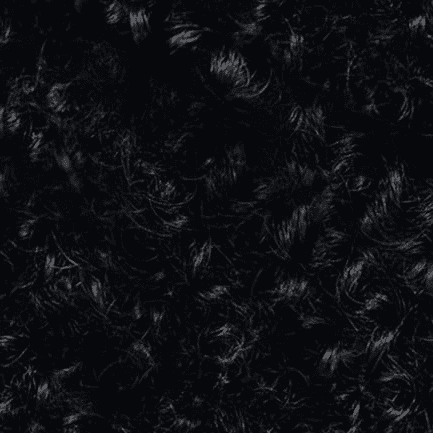 1.0 Black Onyx
