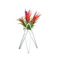 thumbnail image 2 of Soporte Para Plantas De Aire De Mesa, Exhibición De Arte Del Hierro, Decoración Para Interiores Y Exteriores Para El Hogar, Adornos Geométricos De Jardín Tillandsia, Soporte Para Macetas De Oficina Serendint HA026904-02, 2 of 5