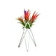 thumbnail image 3 of Soporte Para Plantas De Aire De Mesa, Exhibición De Arte Del Hierro, Decoración Para Interiores Y Exteriores Para El Hogar, Adornos Geométricos De Jardín Tillandsia, Soporte Para Macetas De Oficina Speravity HA026904-01, 3 of 5