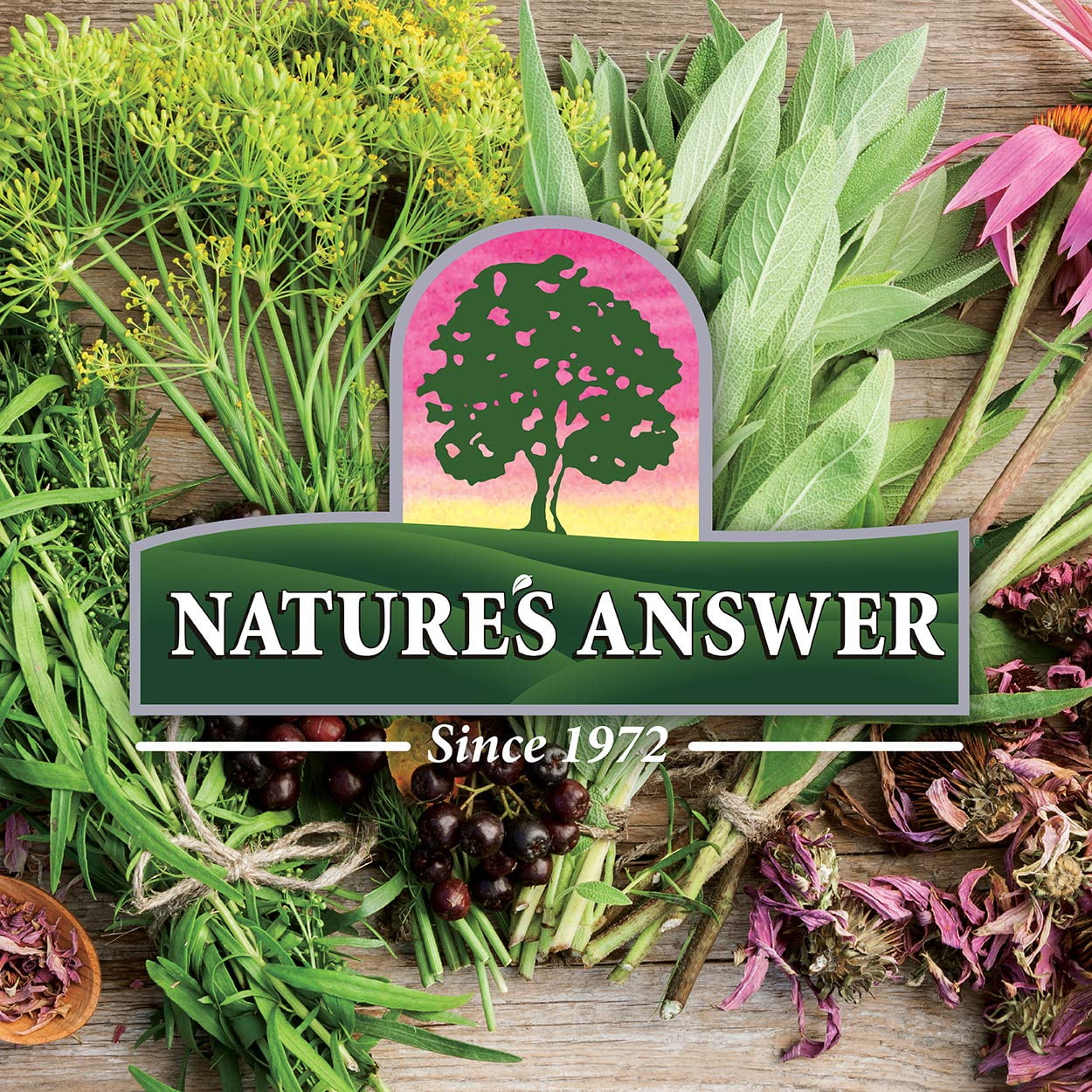 Nature's Answer Echinacea and Goldenseal Root 2oz Alcohol Free