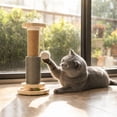 thumbnail image 5 of Sisal Cat Scratching Stand with Toy Ball for Cage 38cm Claw Care Rest Post, 5 of 7