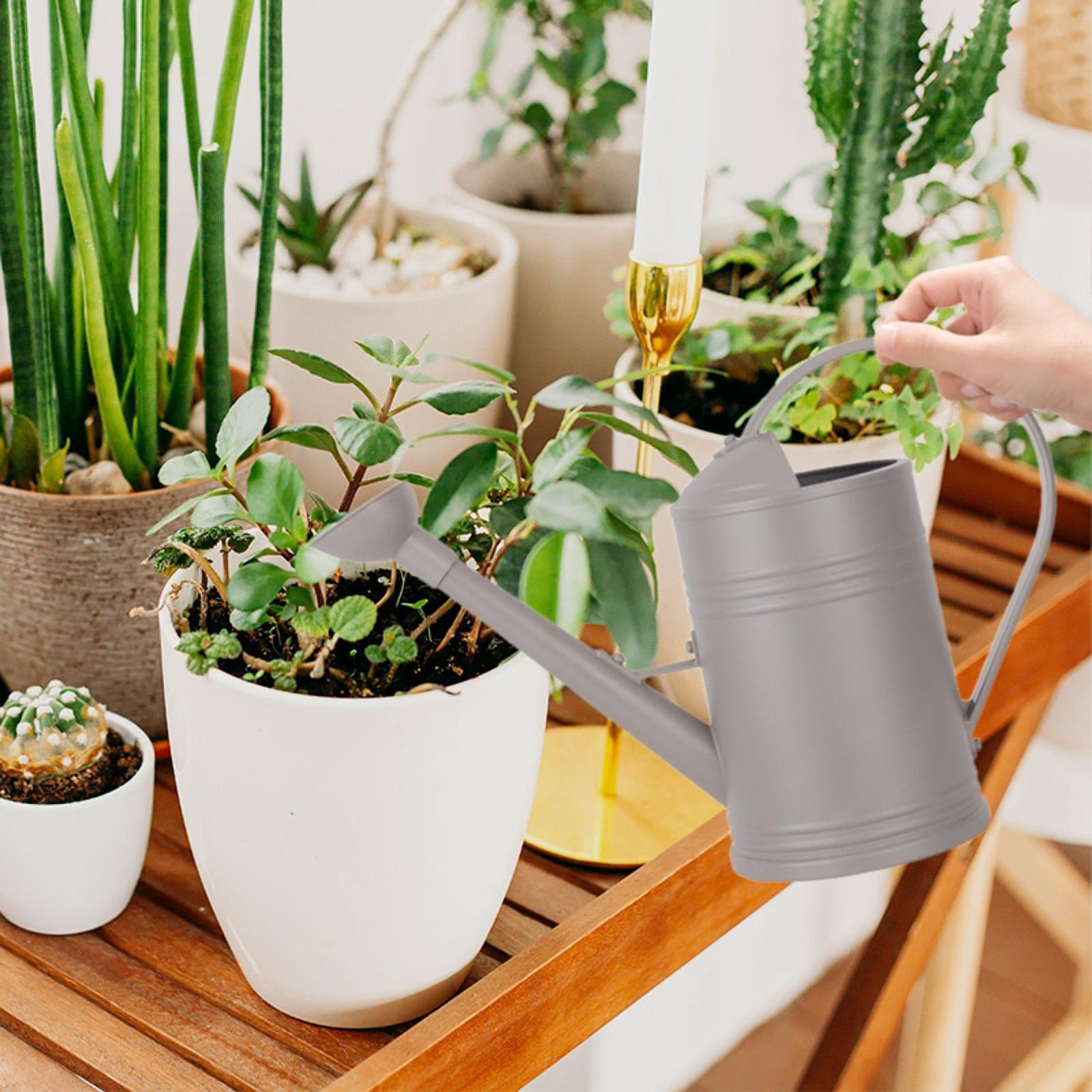 Aymzbd Watering Can Jug Decorative Plants Watering Pot for Garden Household Flowers 2L