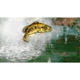 thumbnail image 6 of Rapala Pro Bass Fishing 2010 with Rod Peripheral - Nintendo Wii, 6 of 10
