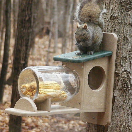 Birds Choice Recycled Plastic Squirrel Jar Feeder Walmart Com