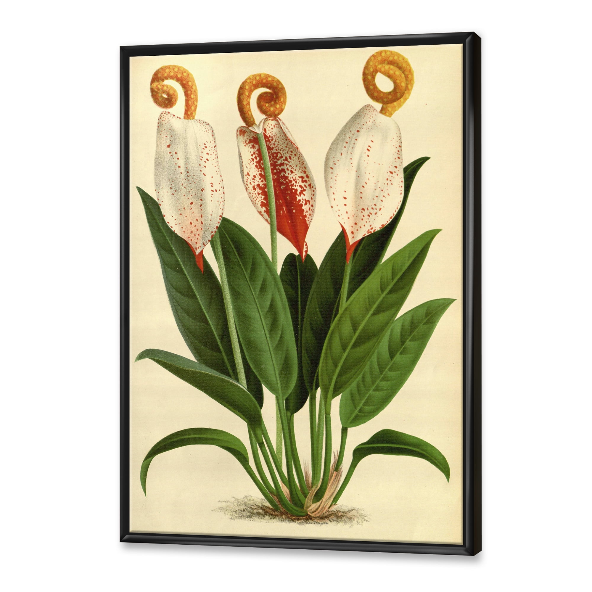 Designart 'Retro Wildflowers' Farmhouse Framed Canvas Wall Art Print