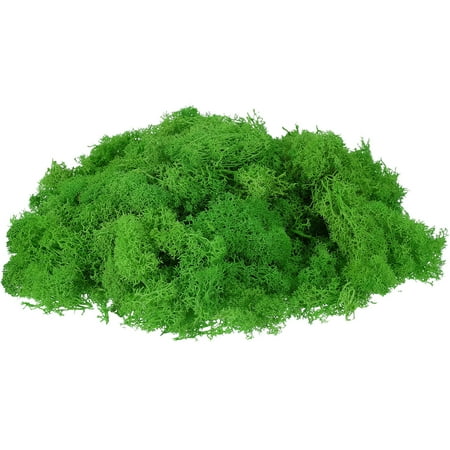 Uxcell Preserved Reindeer Moss, 7 oz Fake Moss for Crafts Artificial Dried Moss for Decoration, Craft, Terrariums, Potted Plants, Centerpieces Fairy Gardens (Light Green)