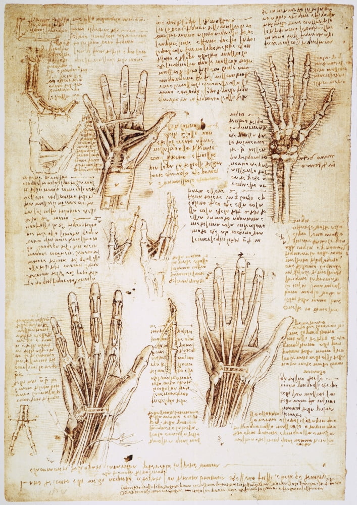 Leonardo Hands, C1510. /Npen And Ink Studies By Leonardo Da Vinci