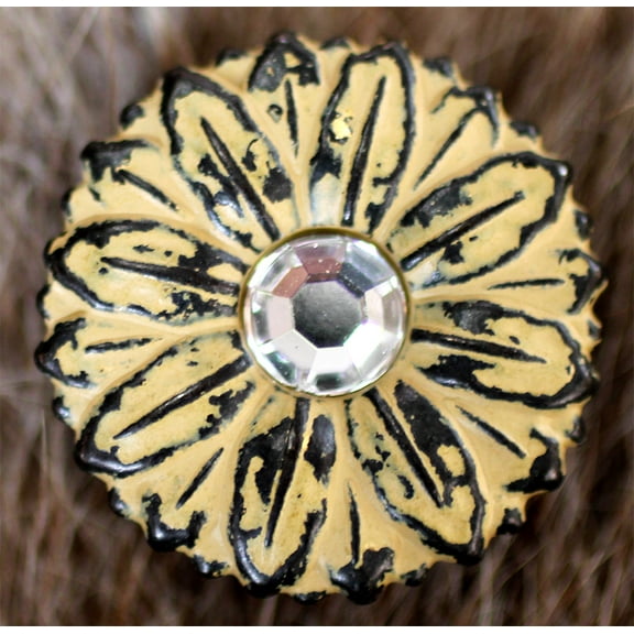 Set 4 Conchos Rhinestone Horse Saddle Western Bridle Petal Co357