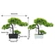 thumbnail image 4 of Planta artificial Wosthever ABS decorativa portátil Gabinete de vino color blanco, 4 of 6