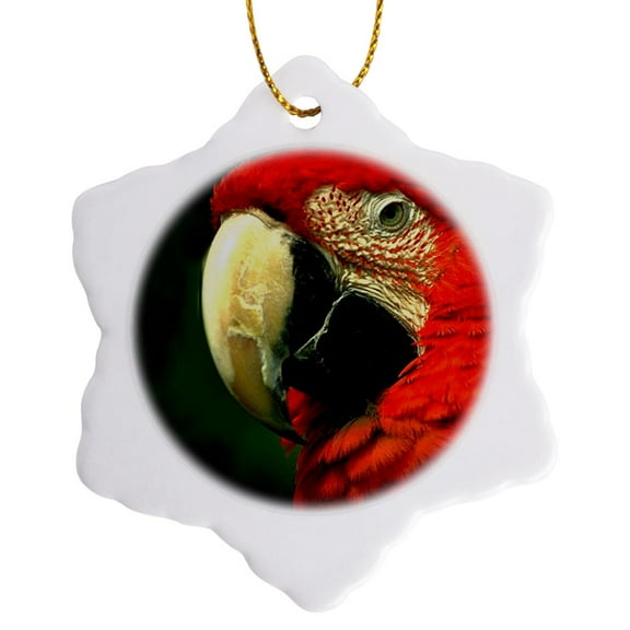 3drose, Green-winged Macaw, 3 inch Snowflake Porcelain Ornament