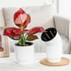 thumbnail image 5 of Maceta autorriego con diseño de rosas verticales, maceta redonda de resina personalizada para plantas de mesa, kit de inicio para jardín de hierbas de interior de bajo mantenimiento Aestivo, 5 of 7