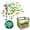 1.4*1, variant on Outdoor Luminous Stones for Walkways, Garden River Pebbles Artificial Stones, Luminous Stones for Glow in the Dark Stepping Stone Paths, Mixed Color Luminous Stones - 250g