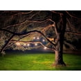 thumbnail image 2 of Luces de Cadena Magictec 15 LED 14.6 m Negra Resistente al Clima, 2 of 7