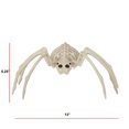 thumbnail image 3 of Adult Halloween Pl Value Spider Décor, 3 of 5
