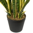 thumbnail image 6 of Northlight Real Touch™️ Artificial Potted Striped Leaf Dracaena Snake Plant - 29", 6 of 9