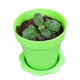 thumbnail image 2 of Material de polipropileno engrosado desechable para hacer tú mismo una planta en maceta para criar más carne, maceta para flores, taza para helado, mousse, taza de salvado de madera, 2 of 2