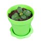 thumbnail image 2 of Material de polipropileno engrosado desechable para hacer tú mismo una planta en maceta para criar más carne, maceta para flores, taza para helado, mousse, taza de salvado de madera, 2 of 2