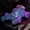 Purple, variant on Climbing Action Stunt Car Toy, Push Powered Inertia Vehicle, Interactive Obstacle Crossing Model, Portable Racing Activity Car, Indoor Outdoor Entertainment Toy