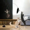 thumbnail image 2 of Birdeem Toys Teaser Stick with Bell Long Pole Suction Cup Self Teaser Weapon, 2 of 12