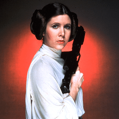 One Size Brown Star Wars Princess Leia Wig 