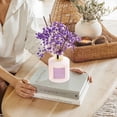 thumbnail image 7 of COCORRÍNA Lavender Garden Reed Diffuser Set, 6.76 fl oz with Dried Baby's Breath, Long Lasting Floral Scent for Home Bedroom Bathroom Decor, 7 of 7