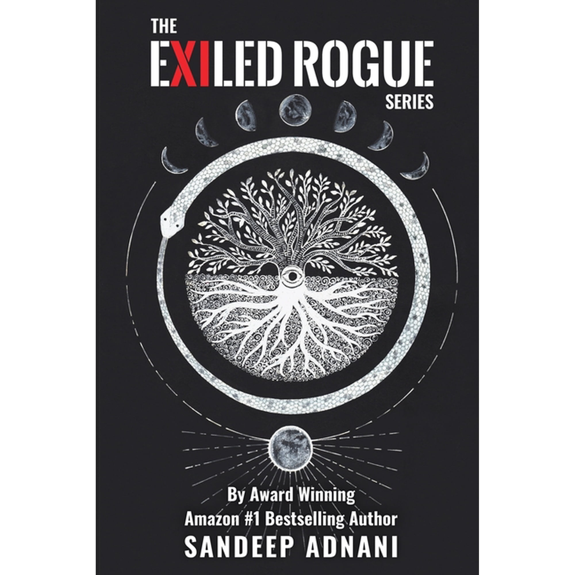 Exiled Rogue Series (Paperback)