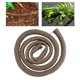 thumbnail image 5 of Rama trepadora de reptiles artificiales, selva flexible, decoración de hábitat de vid larga de ratán de 3,28 pies (L), 5 of 8