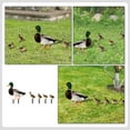 thumbnail image 2 of LEEYNEER Animal Solar Ducks Garden Decoration Insert Backyard Suitable for Lawn, 2 of 8