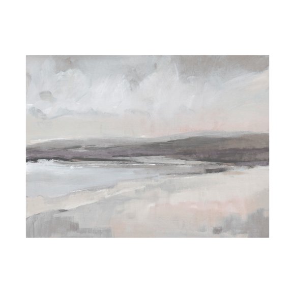 Trademark Fine Art Tim OToole Lavender Mist Coast I Canvas Wall Art