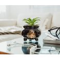thumbnail image 2 of Harry Potter Hogwarts Cauldron 3-Inch Ceramic Mini Planter with Artificial Succulent | Small Flower Pot, Faux Indoor Plants, 2 of 7
