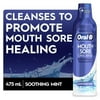 Oral-B Mouth Sore Oral Rinse, Soothing Mint Flavor, 475 mL 16 fl oz ( 2 Packs )