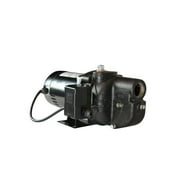 Wayne Cast Iron Shallow Well Jet Pump, 1 Hp, 120 Volts, 630 Gph
