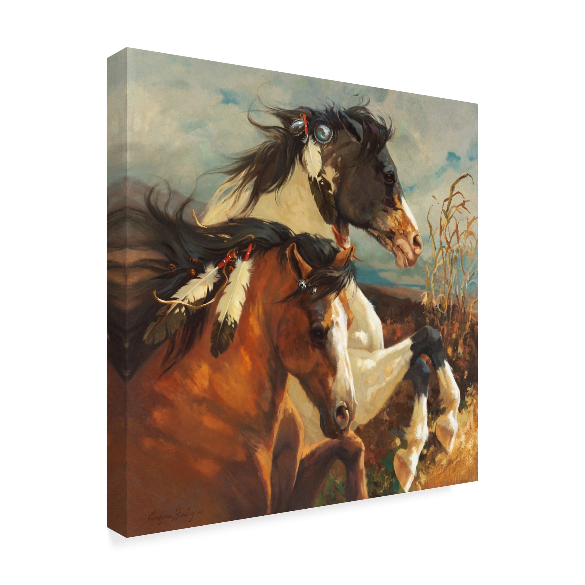 Trademark Fine Art 'Wind Voyager' Canvas Art by Carolyne Hawley