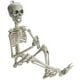 thumbnail image 1 of Decoración de Halloween esqueleto de plástico de cuerpo completo PREXTEX 19 pulgadas con articulaciones móviles, 1 of 3