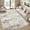 Gray/Gold, variant on Reepow 5x7 Grey/Gold Abstract Neutral Machine Washable Non-Slip Backing Low Pile Area Rug for Living Room Bedroom Dining Room