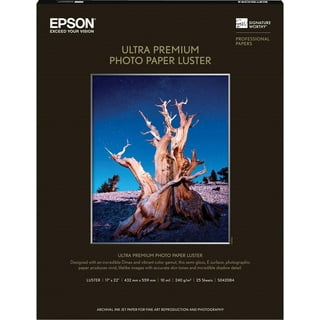  Epson C13S042153 Premium Glossy Photo Paper 100x150mm (40  Sheets) : Everything Else