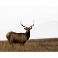 thumbnail image 3 of Delimont, Danita 24x20 Black Modern Framed Museum Art Print Titled - National Bison Range, 3 of 5
