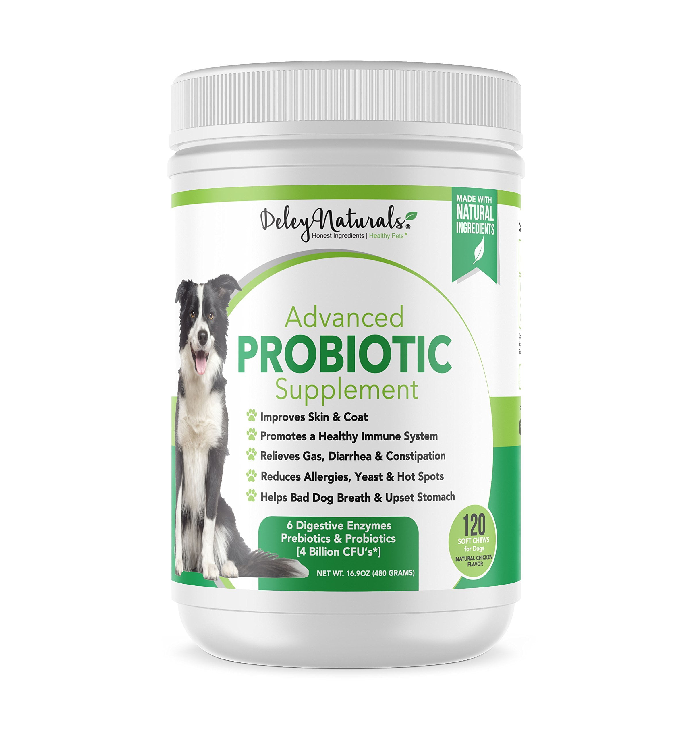 Can A Probiotic Help A Dog With Diarrhea - Lactobacillus For Dog Diarrhea