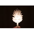 thumbnail image 5 of JUNELILY Christmas 30 LED Lantern Hanging String Lights Battery-Powered -White Pine Cone (14 ft), 5 of 7