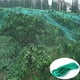 thumbnail image 4 of 3 Plantas De Protección Contra Malla De Malla Antipájaros De Tamaño Plantas Veg Cultivos Jardín Los 2x5m, 4 of 8