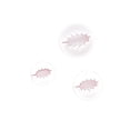 thumbnail image 1 of fastboy 3 Pieces Xmas Tree Leaf Spring Embossing Mold Cake Biscuit Decorative Christmas DIY Decorating Tools Printing Die Stamp, 1 of 6